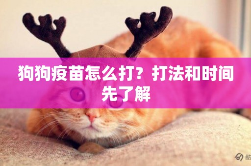 狗狗疫苗怎么打？打法和時間先了解