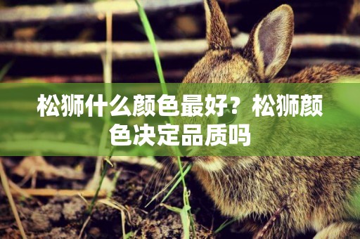 松獅什么顏色最好？松獅顏色決定品質嗎