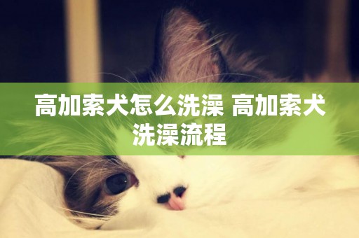 高加索犬怎么洗澡 高加索犬洗澡流程