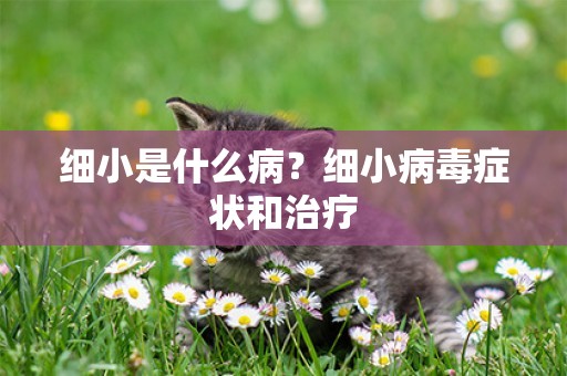 細小是什么病？細小病毒癥狀和治療
