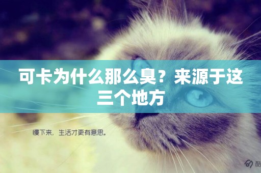 可卡為什么那么臭？來源于這三個地方
