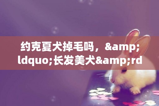 約克夏犬掉毛嗎，&ldquo;長發美犬&rdquo;練成記