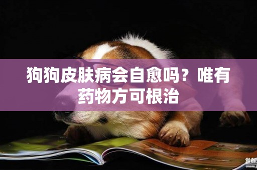 狗狗皮膚病會自愈嗎？唯有藥物方可根治