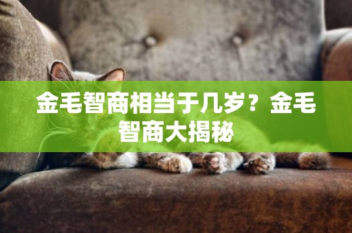 金毛智商相當于幾歲？金毛智商大揭秘