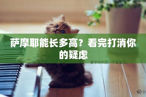 薩摩耶能長多高？看完打消你的疑慮