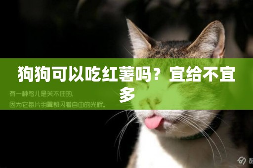 狗狗可以吃紅薯嗎？宜給不宜多