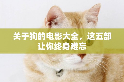 關于狗的電影大全，這五部讓你終身難忘