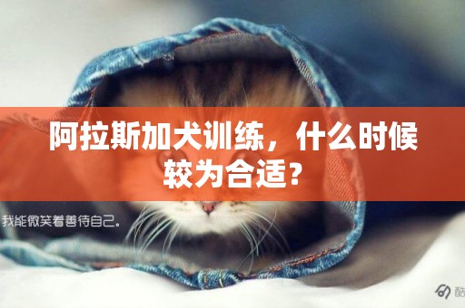 阿拉斯加犬訓練，什么時候較為合適？