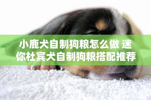 小鹿犬自制狗糧怎么做 迷你杜賓犬自制狗糧搭配推薦