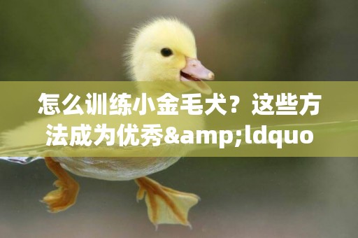 怎么訓練小金毛犬？這些方法成為優秀&ldquo;鏟屎官&rdquo;