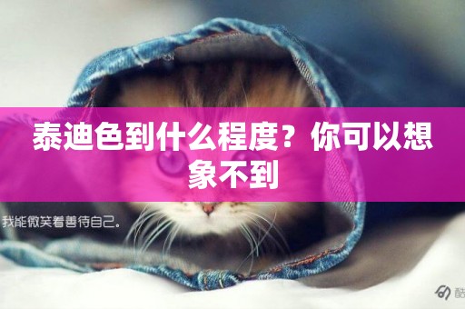泰迪色到什么程度？你可以想象不到
