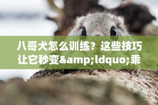 八哥犬怎么訓練？這些技巧讓它秒變&ldquo;乖巧&rdquo;