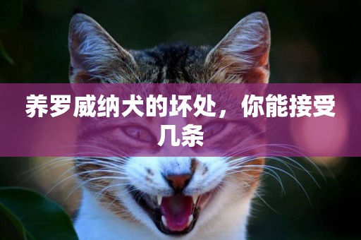 養羅威納犬的壞處，你能接受幾條