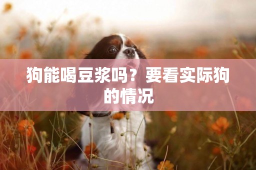 狗能喝豆漿嗎？要看實際狗的情況