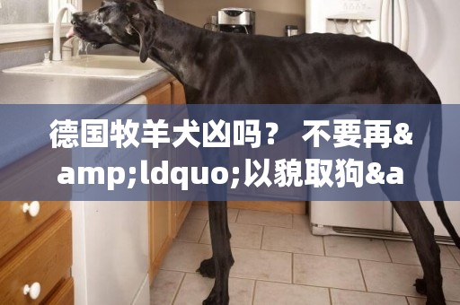 德國牧羊犬兇嗎？ 不要再&ldquo;以貌取狗&rdquo;了