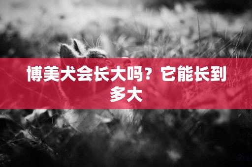 博美犬會長大嗎？它能長到多大