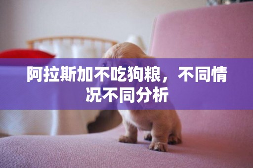 阿拉斯加不吃狗糧，不同情況不同分析