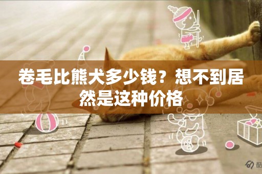 卷毛比熊犬多少錢？想不到居然是這種價格