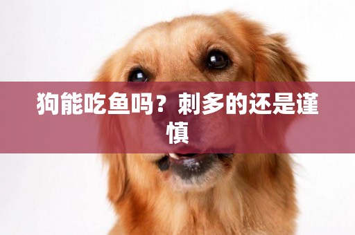 狗能吃魚嗎？刺多的還是謹慎