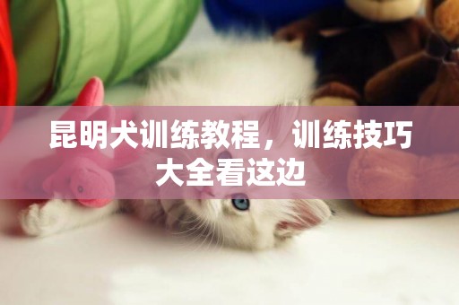 昆明犬訓練教程，訓練技巧大全看這邊