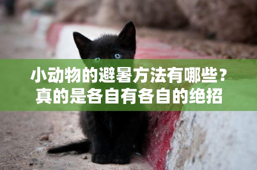 小動物的避暑方法有哪些？真的是各自有各自的絕招