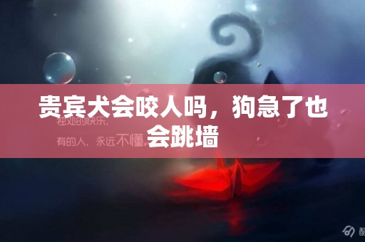 貴賓犬會咬人嗎，狗急了也會跳墻