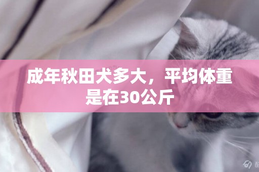 成年秋田犬多大，平均體重是在30公斤