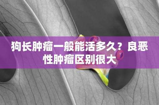 狗長腫瘤一般能活多久？良惡性腫瘤區別很大