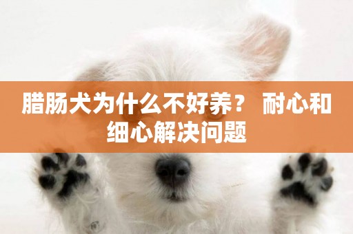 臘腸犬為什么不好養？ 耐心和細心解決問題