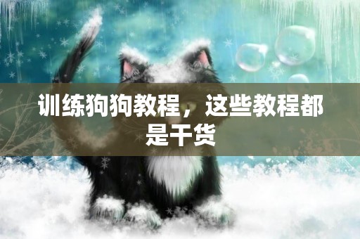 訓練狗狗教程，這些教程都是干貨