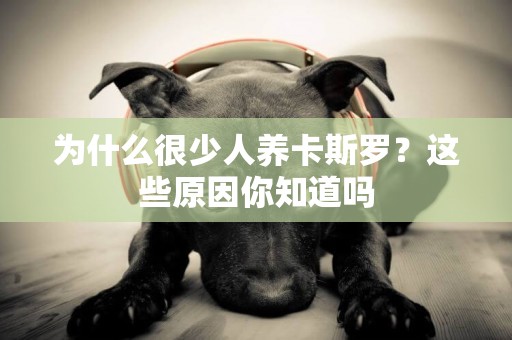 為什么很少人養卡斯羅？這些原因你知道嗎