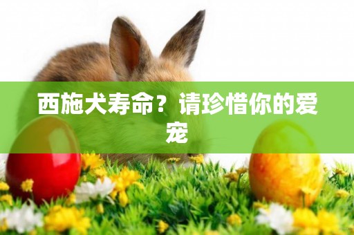 西施犬壽命？請珍惜你的愛寵