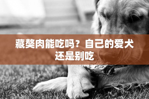 藏獒肉能吃嗎？自己的愛犬還是別吃