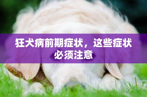 狂犬病前期癥狀，這些癥狀必須注意