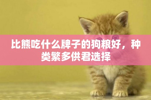 比熊吃什么牌子的狗糧好，種類繁多供君選擇