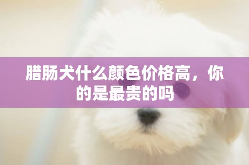 臘腸犬什么顏色價格高，你的是最貴的嗎