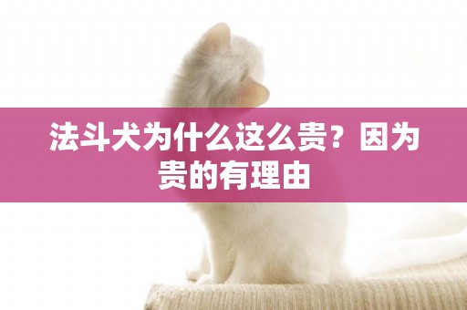 法斗犬為什么這么貴？因為貴的有理由