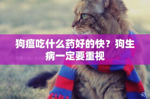 狗瘟吃什么藥好的快？狗生病一定要重視