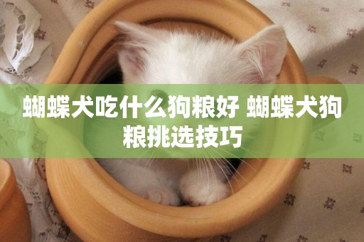 蝴蝶犬吃什么狗糧好 蝴蝶犬狗糧挑選技巧