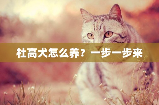 杜高犬怎么養？一步一步來