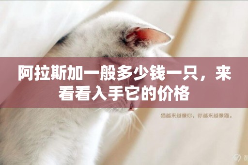 阿拉斯加一般多少錢一只，來看看入手它的價格