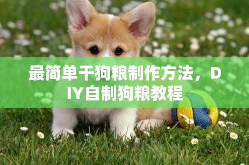 最簡單干狗糧制作方法，DIY自制狗糧教程