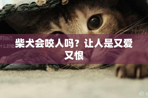 柴犬會咬人嗎？讓人是又愛又恨