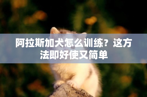 阿拉斯加犬怎么訓練？這方法即好使又簡單
