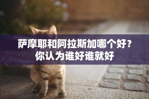 薩摩耶和阿拉斯加哪個好？你認為誰好誰就好