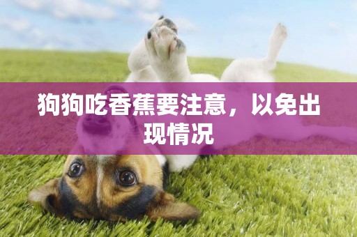 狗狗吃香蕉要注意，以免出現情況
