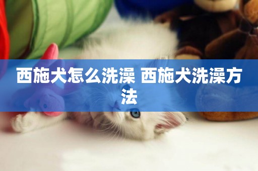 西施犬怎么洗澡 西施犬洗澡方法