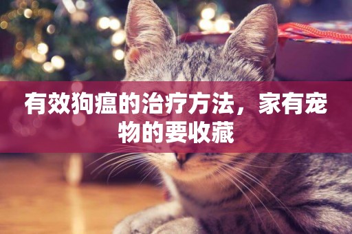 有效狗瘟的治療方法，家有寵物的要收藏