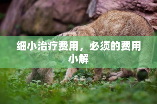 細小治療費用，必須的費用小解