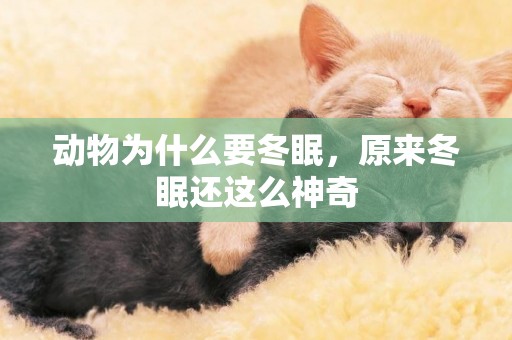 動物為什么要冬眠，原來冬眠還這么神奇